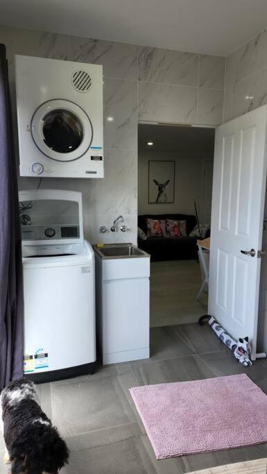 a dog standing in a kitchen with a washer and dryer at Oscar's at Banora in Kurrara