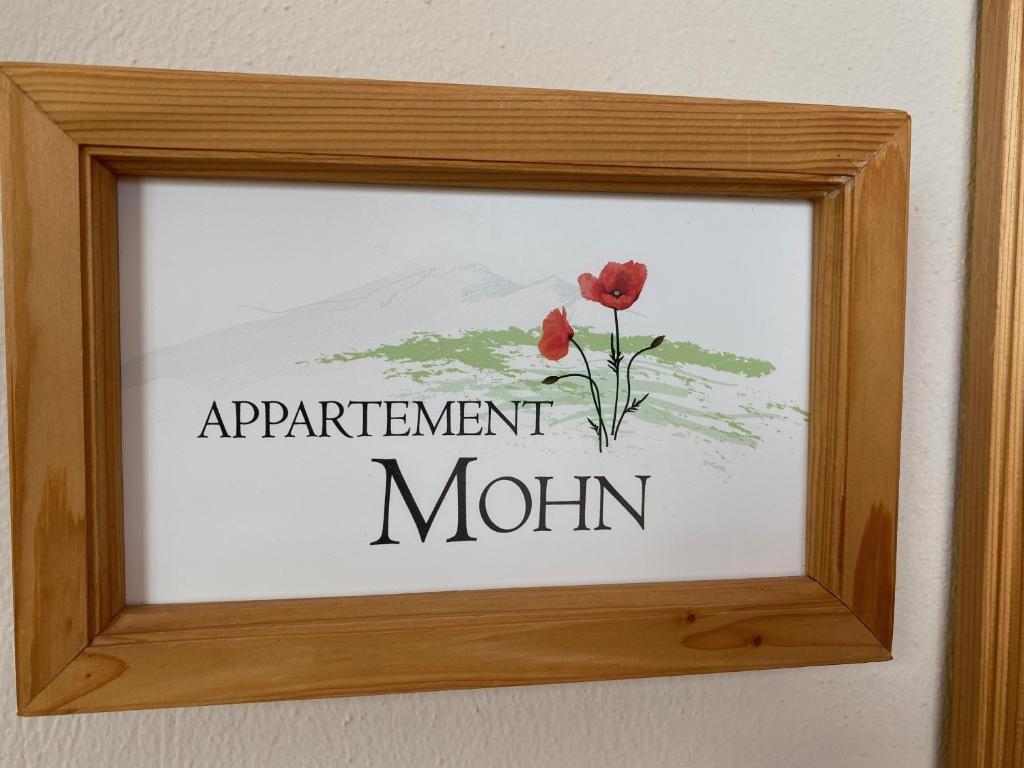 Zur Bergwiese 5 Sterne Appartementhaus - Apartamento Superior