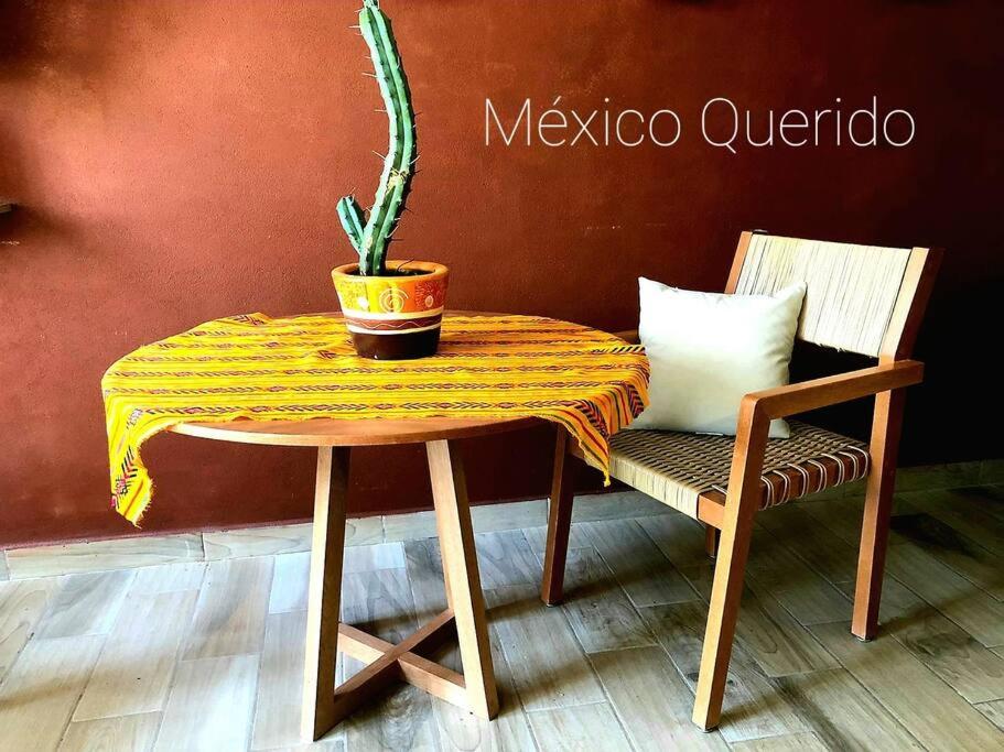 una mesa con una maceta y una silla en México Querido ,Arena Ciudad de México, en Ciudad de México