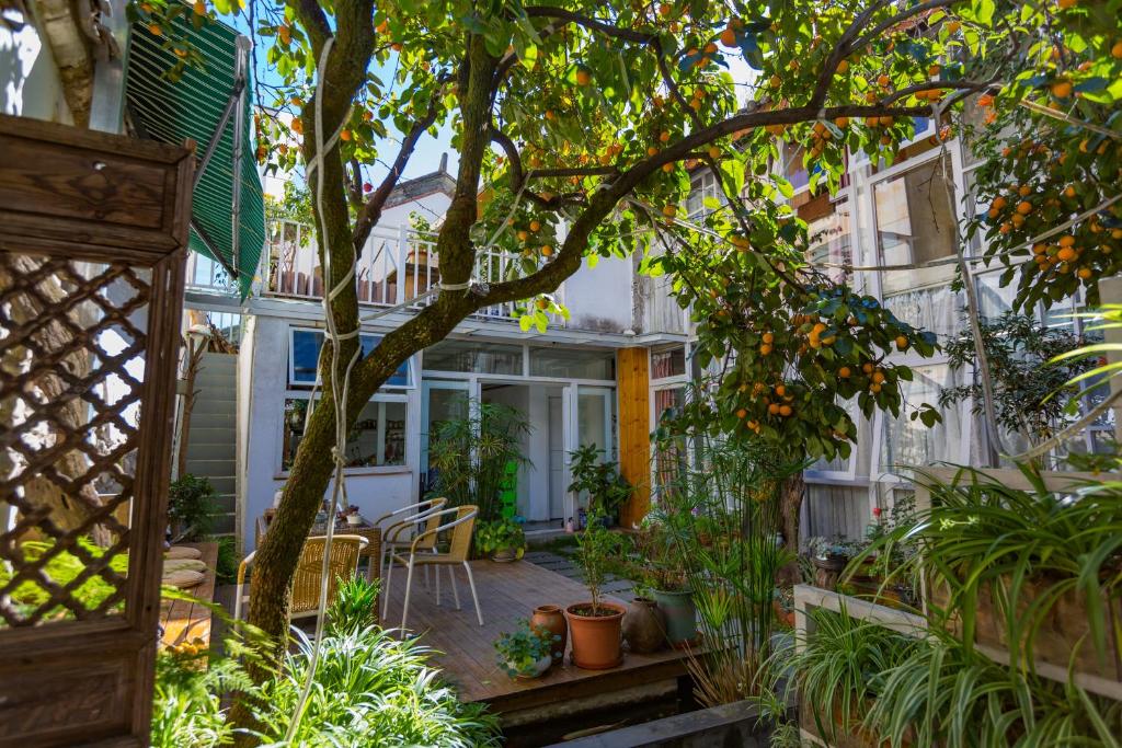 Un jardín fuera de Honglin Houseg虹林的小院 防疫整栋 古城里温馨私家小院 享受大理慢时光 树下喝茶聊天 烧烤娱乐自助厨房 休闲好去处