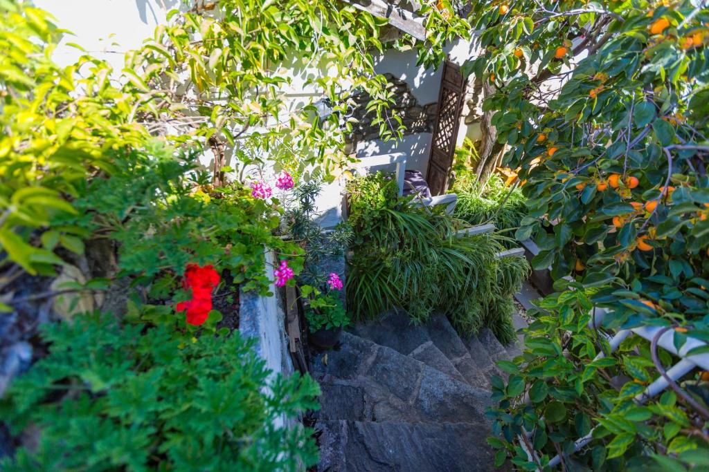 Un jardín fuera de Honglin Houseg虹林的小院 防疫整栋 古城里温馨私家小院 享受大理慢时光 树下喝茶聊天 烧烤娱乐自助厨房 休闲好去处