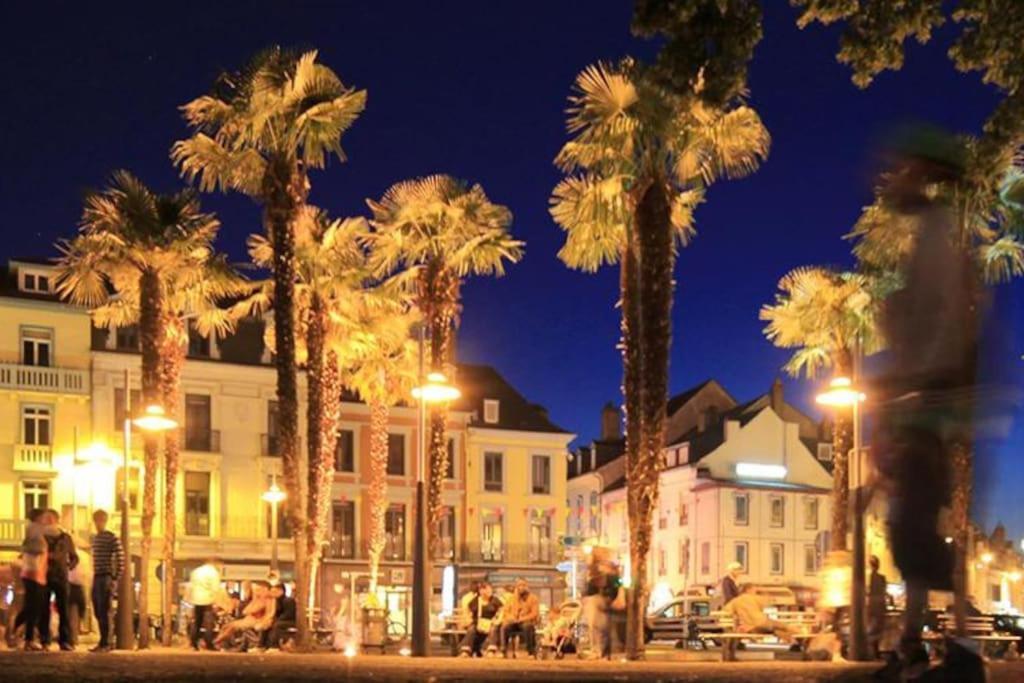 grupa palm w mieście w nocy w obiekcie LE BILBAO, T2, centre-parking gratuit-terrasse w mieście Tarbes