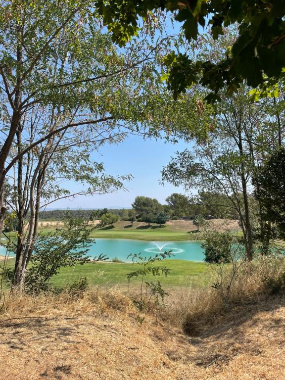 jezioro w środku pola z drzewami w obiekcie Beauséjour près du Golf w mieście Cabriès