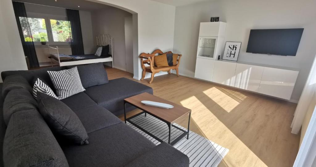 TV a/nebo společenská místnost v ubytování Ferienwohnung Frieda, Merzig