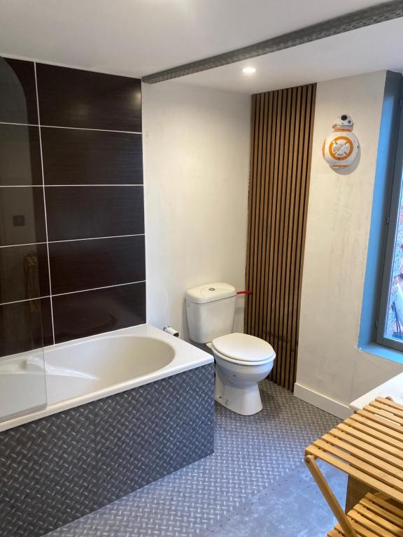 a bathroom with a toilet and a bath tub at Les Jedis Saint Jean de Losne, La Diligence & escape game immersif in Saint-Jean-de-Losne