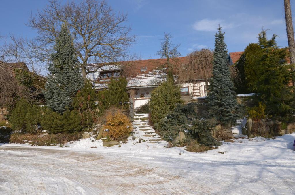 a house in the snow with trees around it at Holiday Home U Černých Ovcí in Náměšť nad Oslavou
