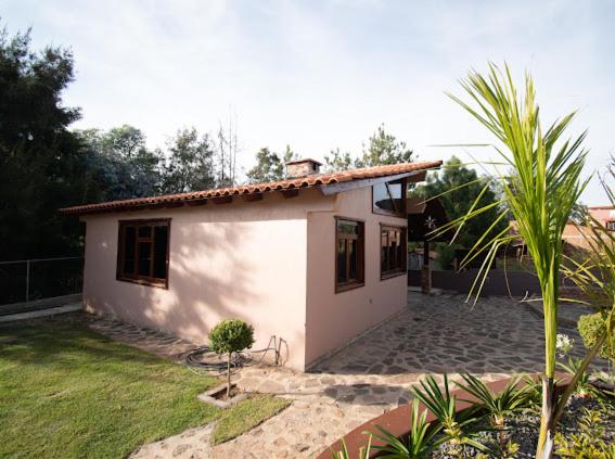 una pequeña casa blanca en un patio con una palmera en Cabaña Estrella, en Mazamitla