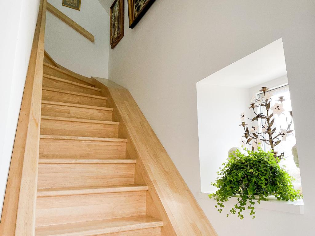 Fotografie z fotogalerie ubytování CHAMBRE APPARTEMENT v destinaci Roscoff