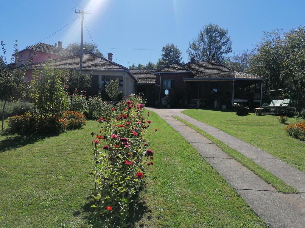 una fila de rosas en un patio con una casa en Markov konak, en Babušnica