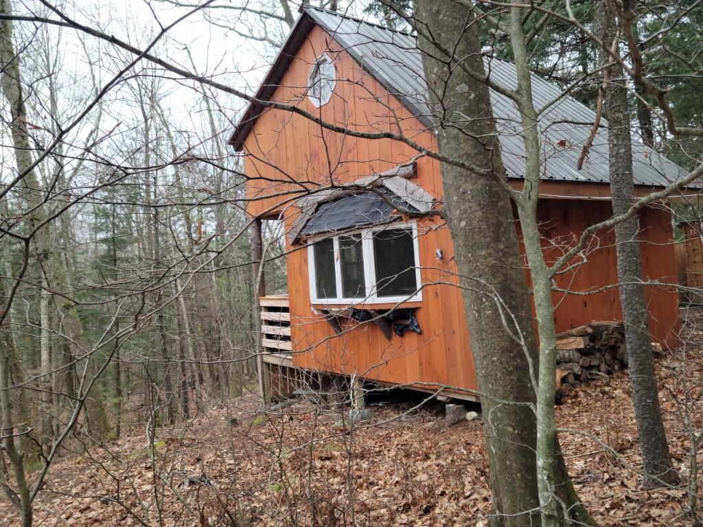 a small orange house in the woods at Vana Kuti-cabin in the woods in Camden