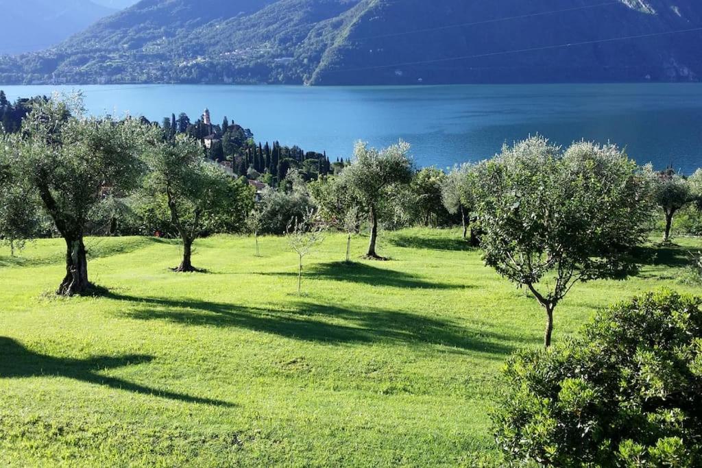 um campo de relva verde com árvores e um lago em Casa Melina 1 em Tremezzo