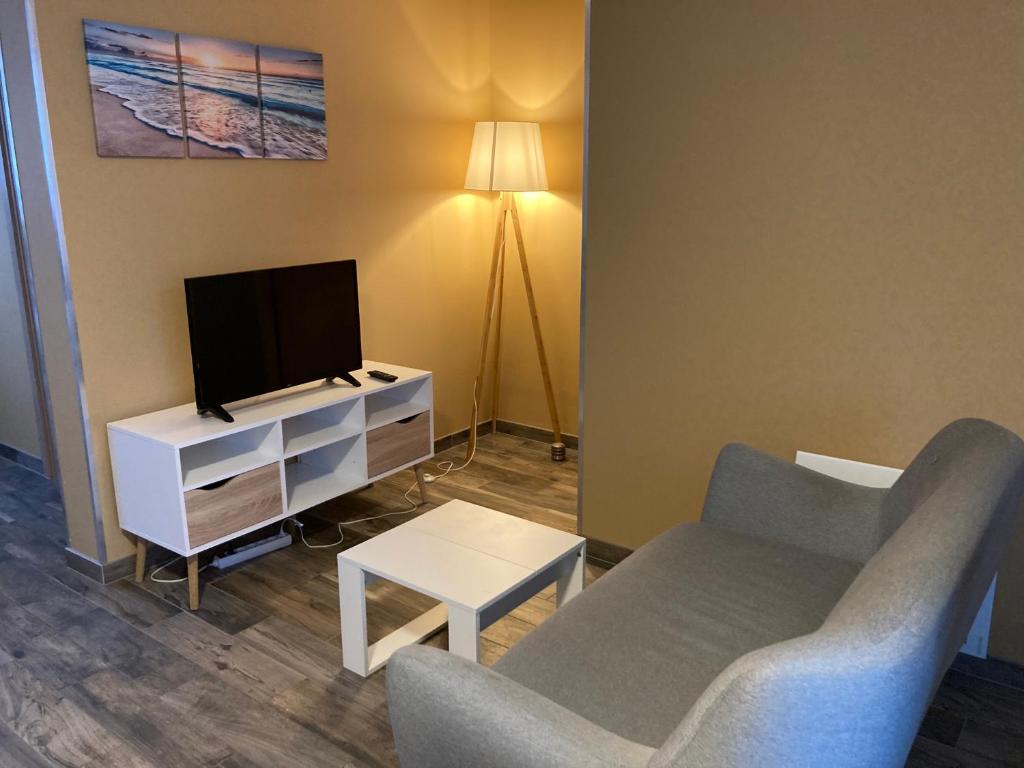 un salon avec un canapé et une télévision dans l'établissement Le Petit Fabre, à La Roche-sur-Yon