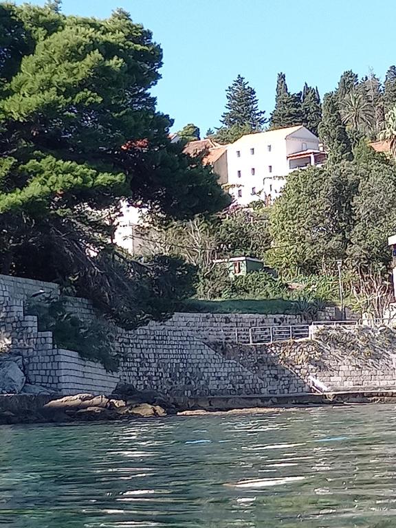 ein Haus auf einem Hügel neben dem Wasser in der Unterkunft Villa Sea Dream Koločep in Koločep