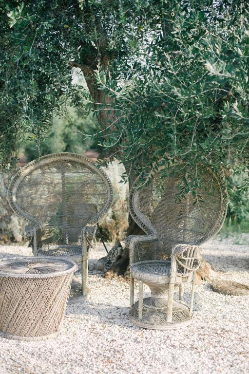 Zahrada ubytování Fikus - the Apulian B&B
