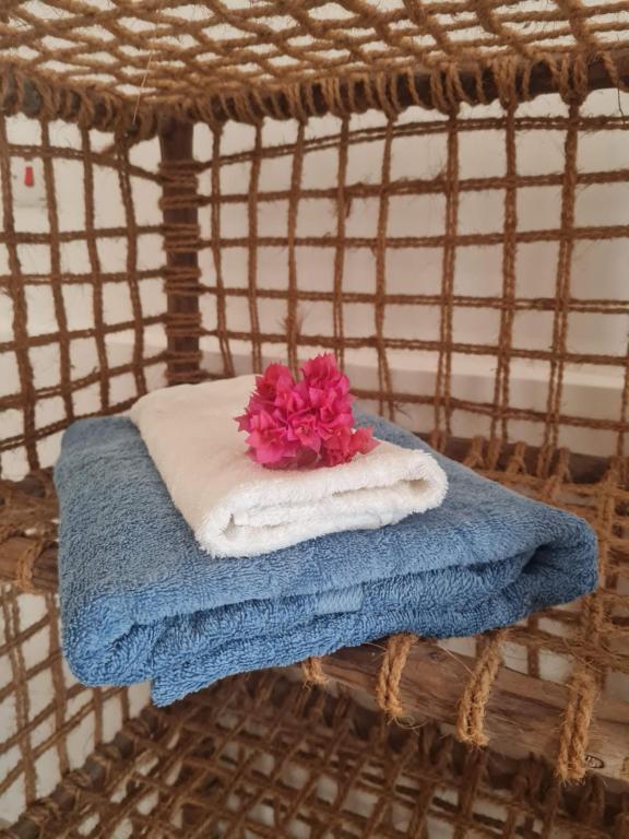 Fotografie z fotogalerie ubytování Beachfront Villa Ladha ya Zanzibar v destinaci Jambiani