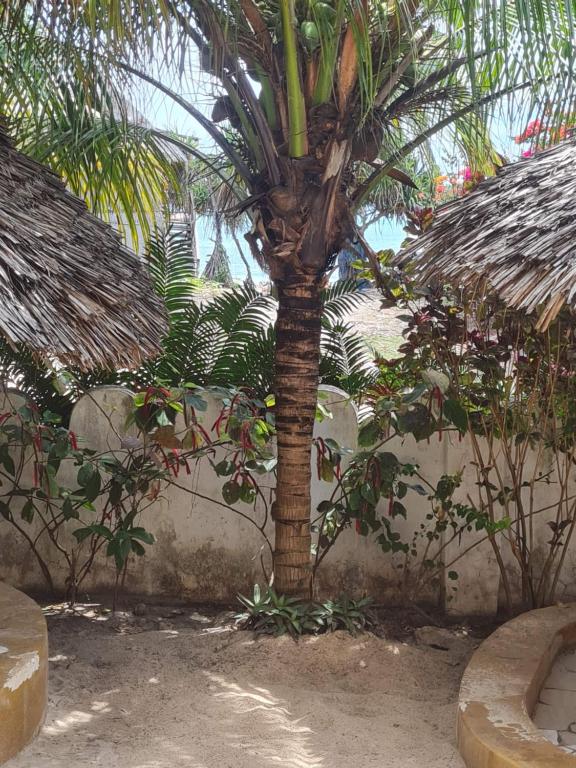 Zahrada ubytování Beachfront Villa Ladha ya Zanzibar