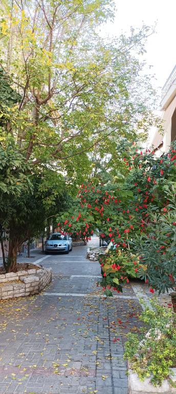 Ogród w obiekcie Lovely Nest Piraeus