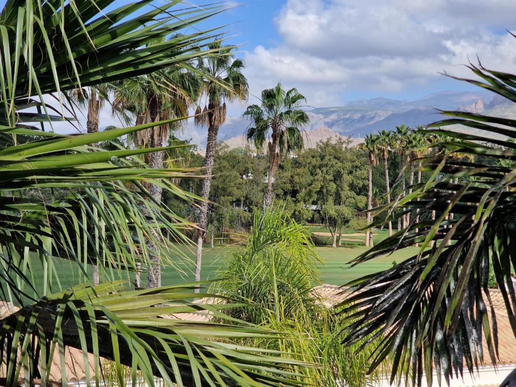 Kép Apartment Campo de Golf szállásáról Aronában a galériában