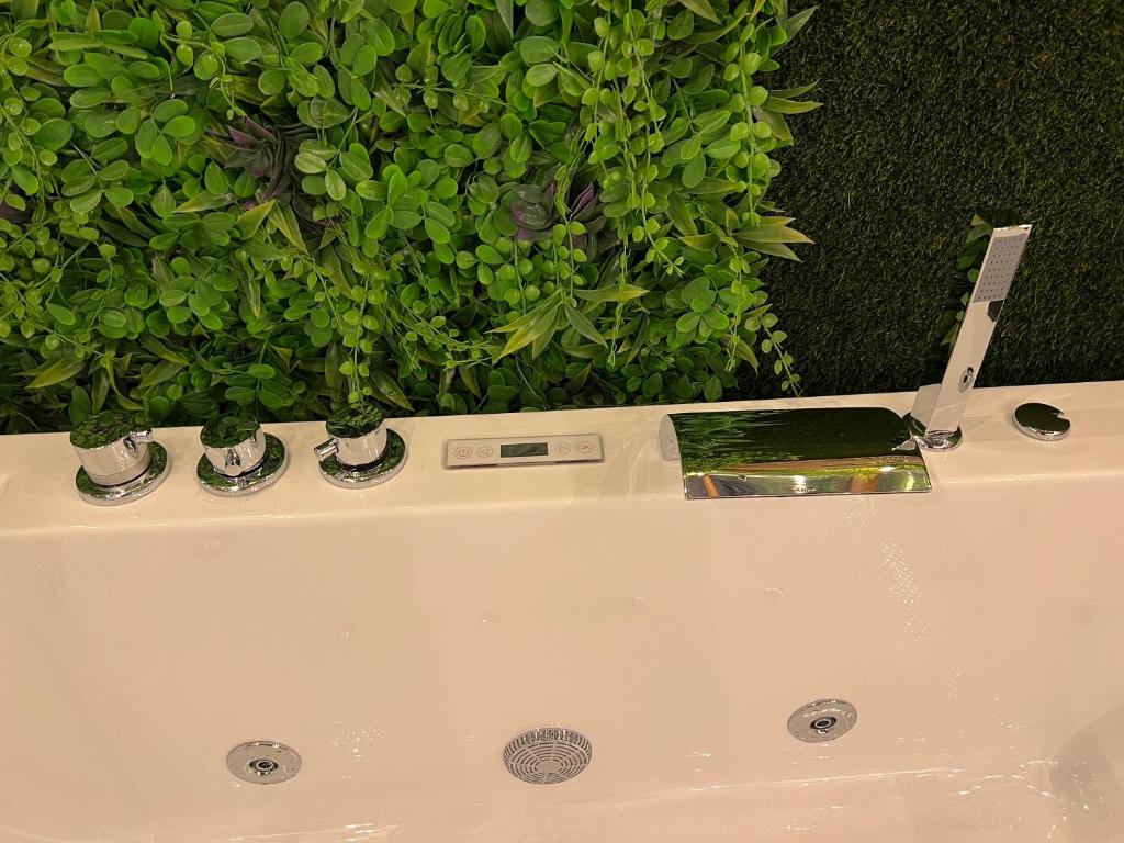 SPA de charme 6 pers avec Jacuzzi & Sauna privatifs au coeur de ville - Esprit Coco – photo 35