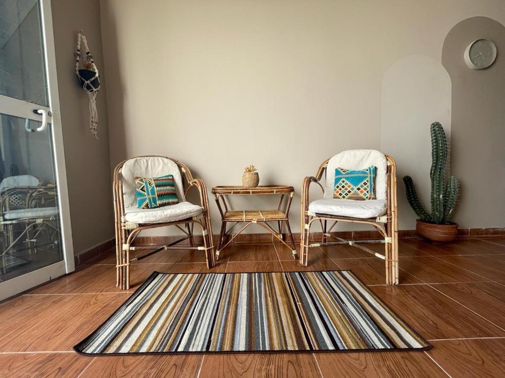 a room with two chairs and a table and a cactus at La Casa Guest House in Marsa Alam City