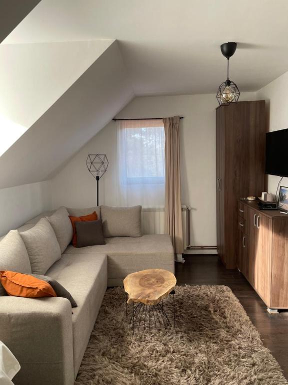 - un salon avec un canapé et une table dans l'établissement Apartman Toki, à Divčibare
