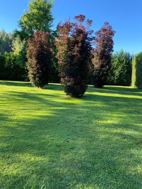 Zahrada ubytování Villa Bimba, alojamiento con piscina y barbacoa