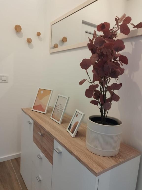 Fotografie z fotogalerie ubytování Korkyra Seashell v destinaci Blato
