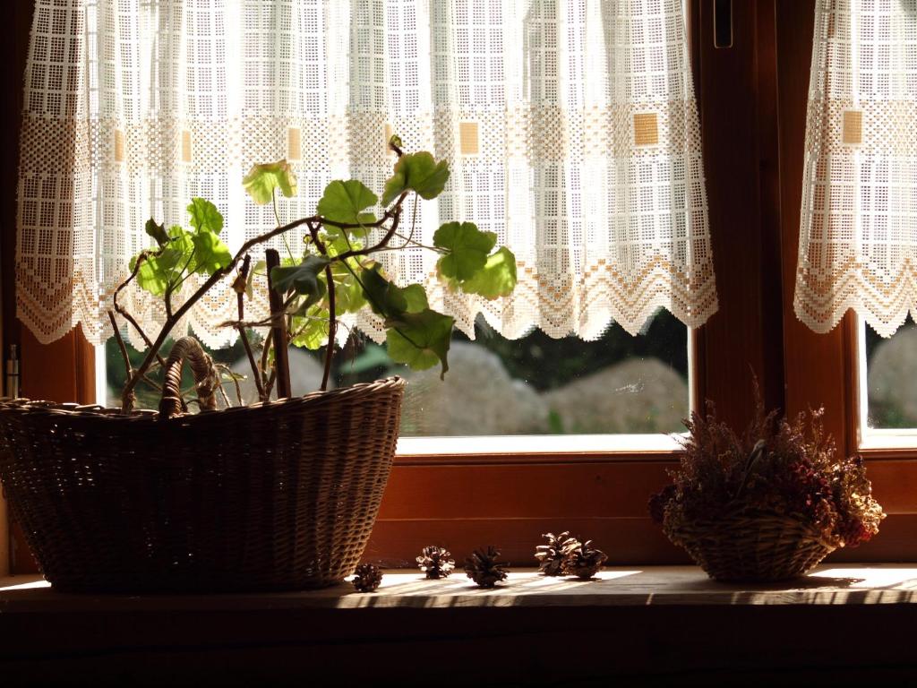 Fotografia z galérie ubytovania Willa Bystry, Pod Nosalem v Zakopanom