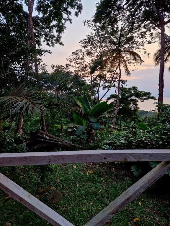 a wooden fence in a field with trees at World's View Wild Camping Salaszoi, Principe Island in Santo António