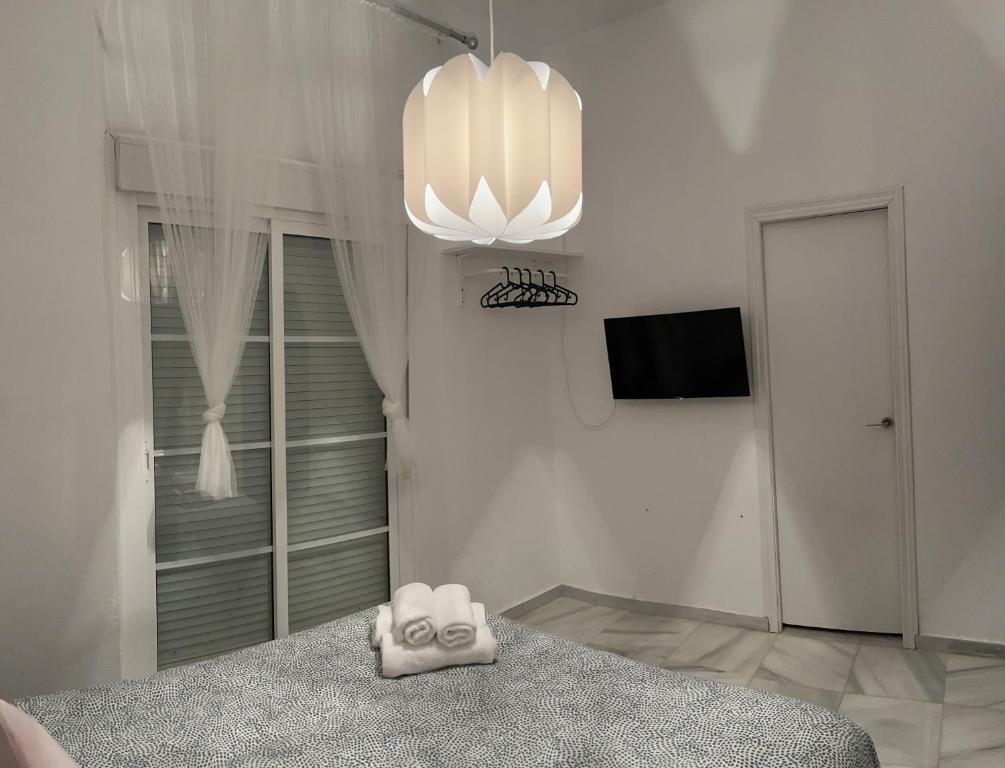 BF BOUTIQUE JEREZ - 小双房间