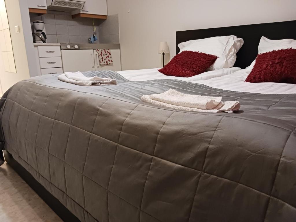 Postel nebo postele na pokoji v ubytování Apartment Raja