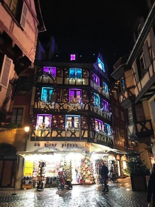 Colmar,appart chaleureux 2 pas centre avec jardin – photo 13