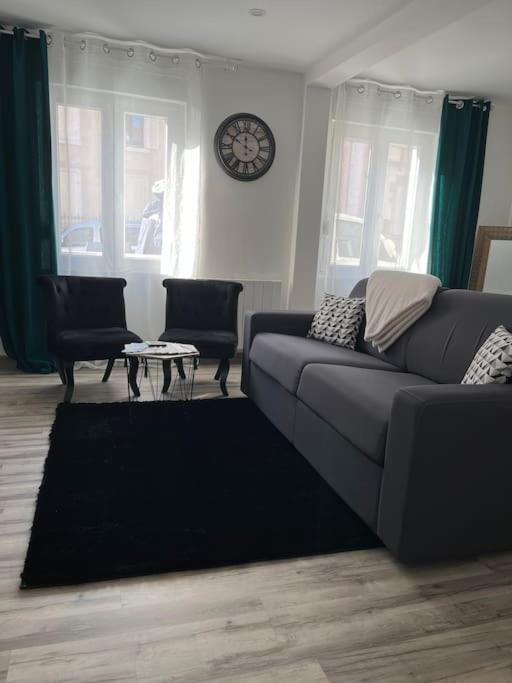 Colmar,appart chaleureux 2 pas centre avec jardin – photo 20