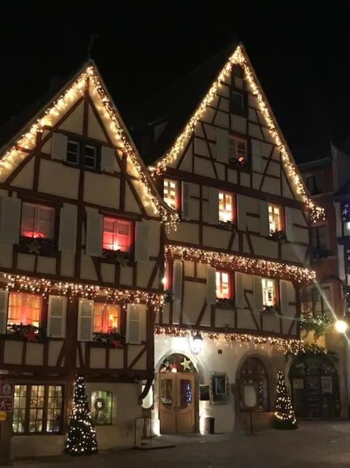 Colmar,appart chaleureux 2 pas centre avec jardin – photo 22