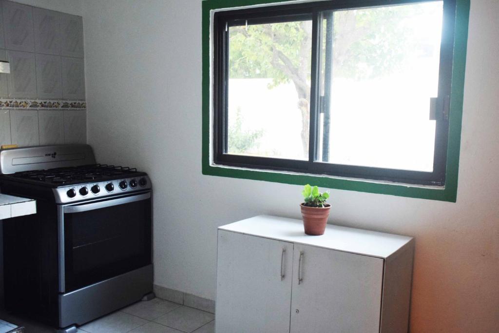 Kuchyň nebo kuchyňský kout v ubytování Hostal Casa Bohemia