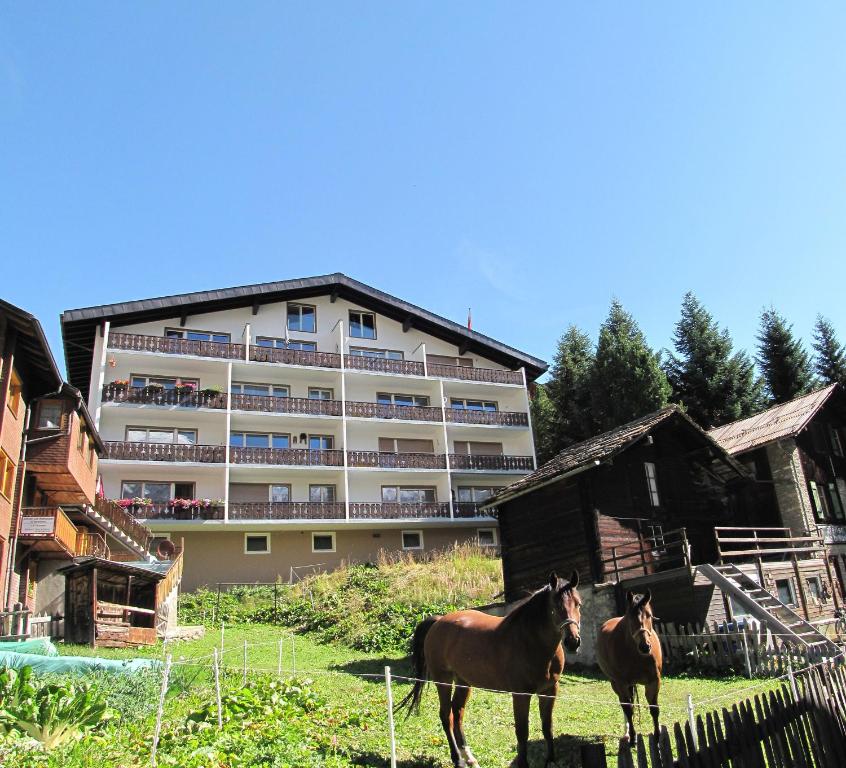Zvířata v apartmánu nebo okolí
