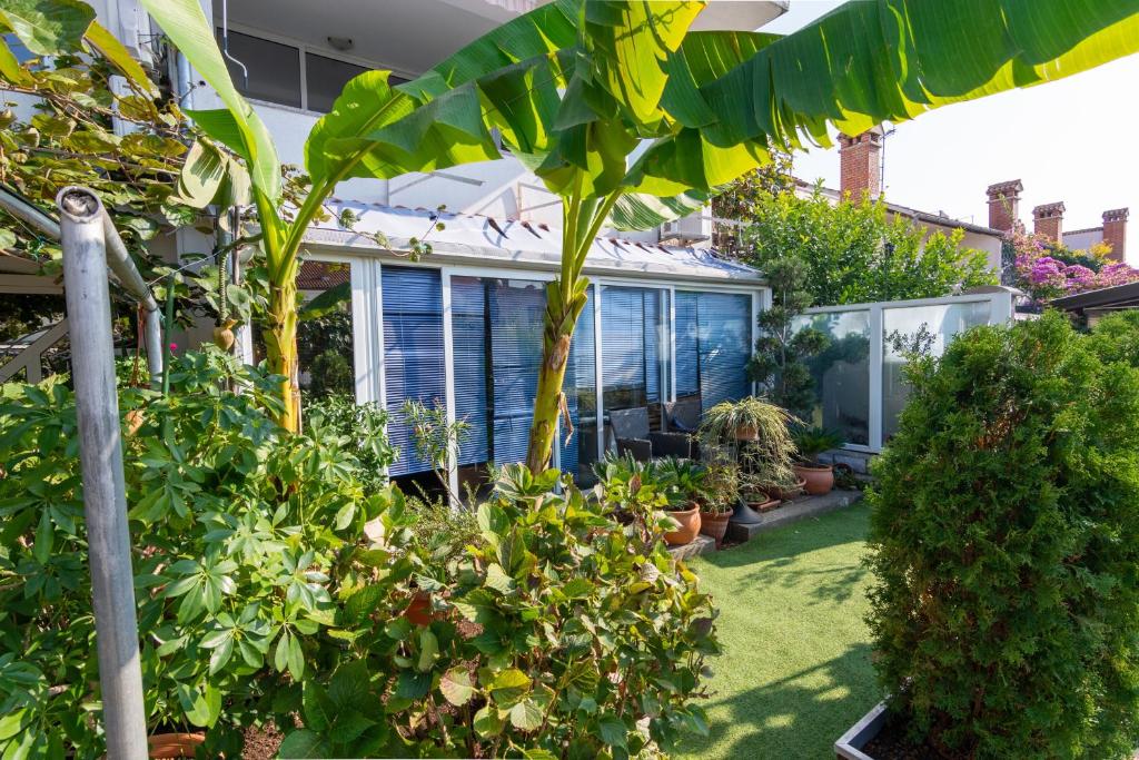 Zahrada ubytování Apartments with WiFi Rovinj - 9702