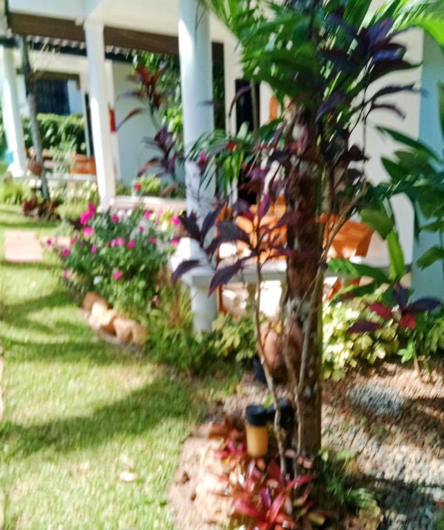 Zahrada ubytování Privacy Resort - Koh Chang