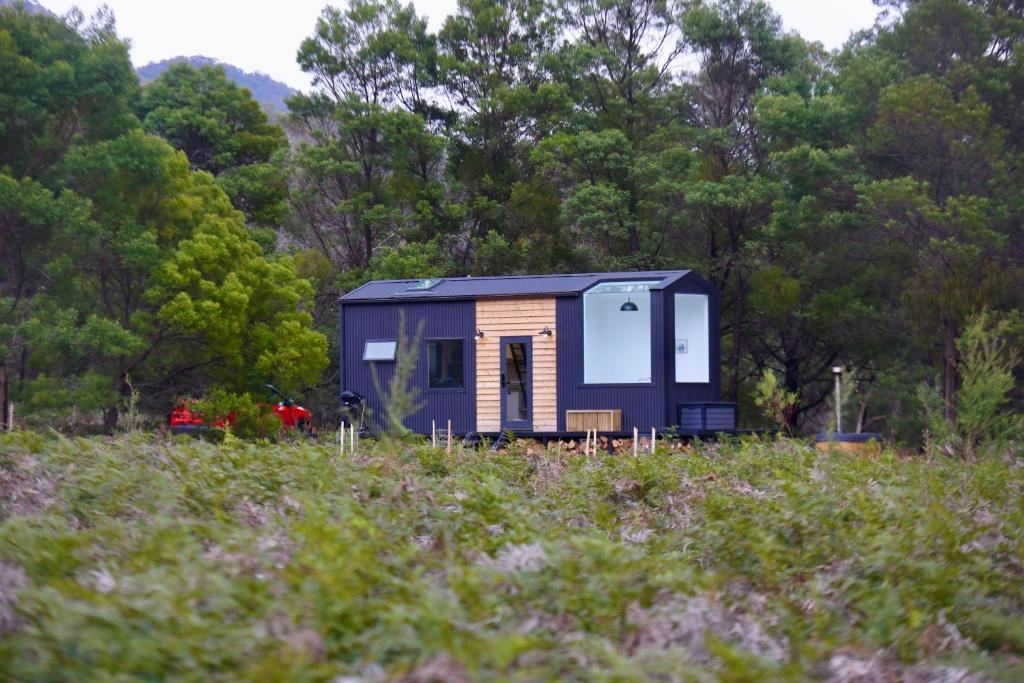 una pequeña casa en un campo con árboles en el fondo en Wild Life Cabin 1 - Grampians, en Halls Gap