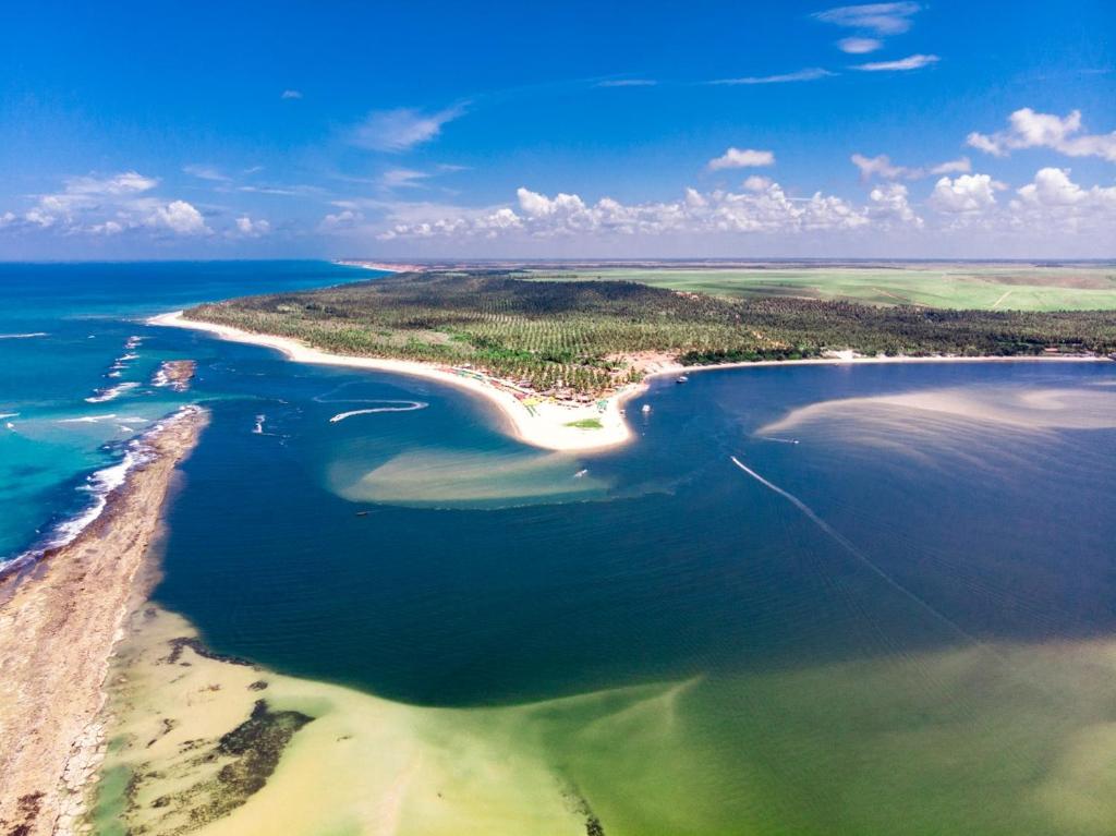 an aerial view of a beach and the ocean at EcoMar - Pousada de Experiência in Barra de São Miguel