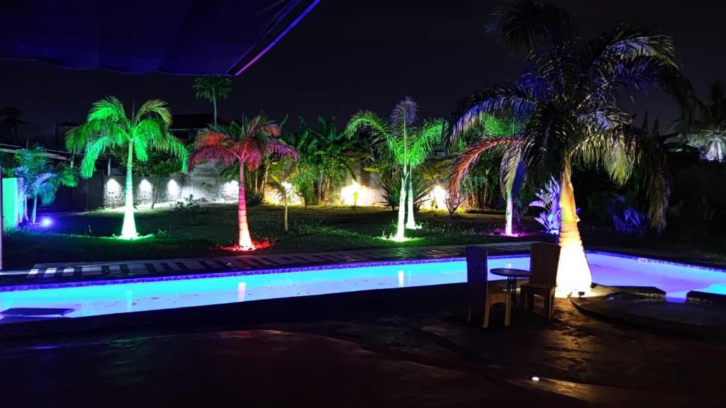 a group of palm trees lit up at night at Moringa Hotels in Matola