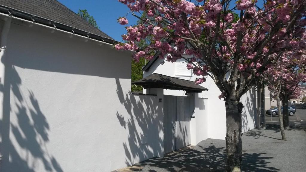 un árbol con flores rosas junto a una pared blanca en Chambre et salon sur la Loire à vélo, en Les Ponts-de-Cé