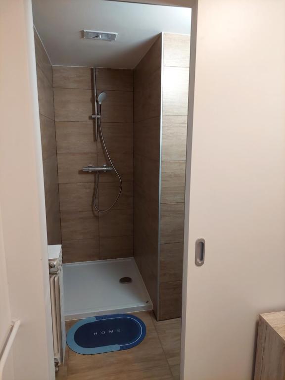 Koupelna v ubytování Apartments Marica
