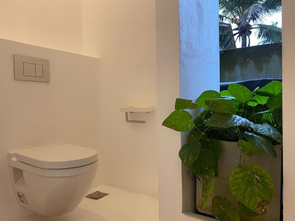 a bathroom with a toilet and a potted plant at Saffron Robes Living in Hikkaduwa