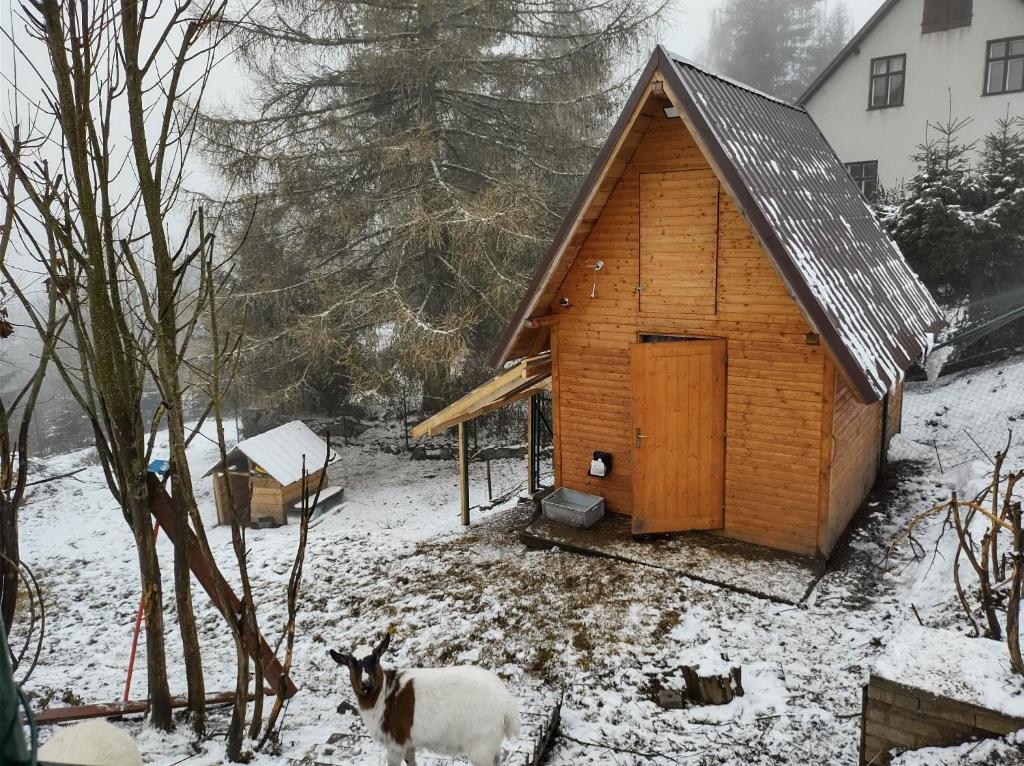 Obiekt U Berňáků zimą