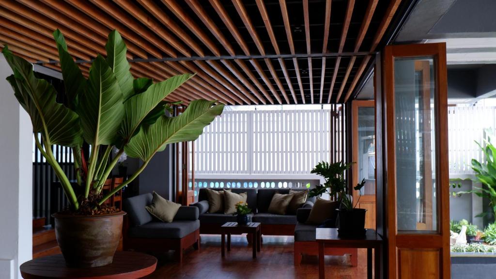 a living room with a couch and some plants at Nara Residence Trang in Trang