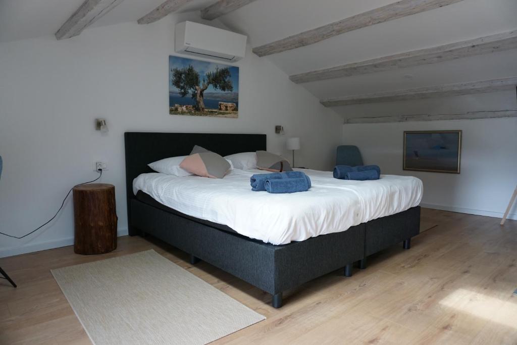 Farmhouse Cubani - 13