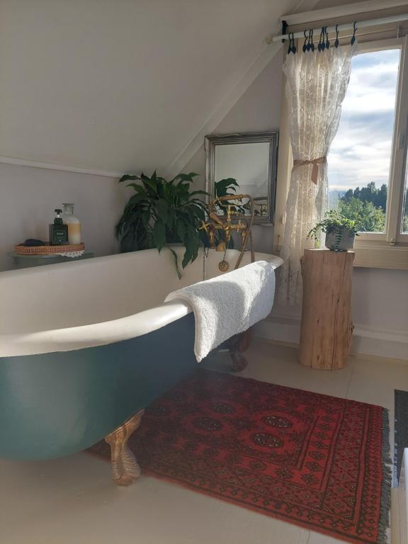 a bathroom with a bath tub and a rug at Kimi's Cottage in Simondium