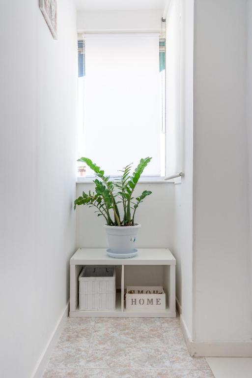 Fotografie z fotogalerie ubytování Rooms Breeze & Sun v Malaze