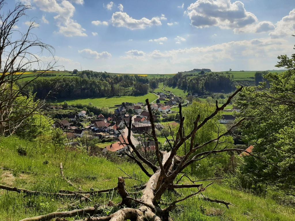 Příroda nedaleko apartmánu